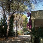 2020.08-06-SanGiovanni-Giardino_01