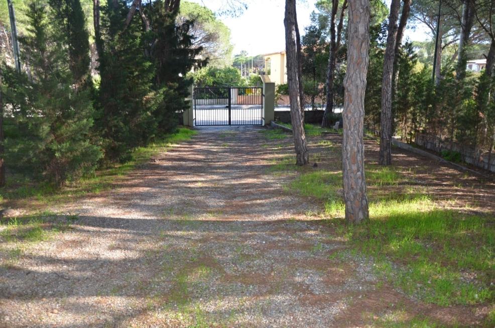 2021.06.17-SanGiovanni-Giardino_03 2021.06.17-SanGiovanni-Giardino_03
