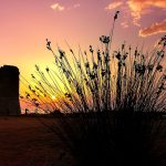 2025.03.23-SanGiovanni-Mare-Torre_04