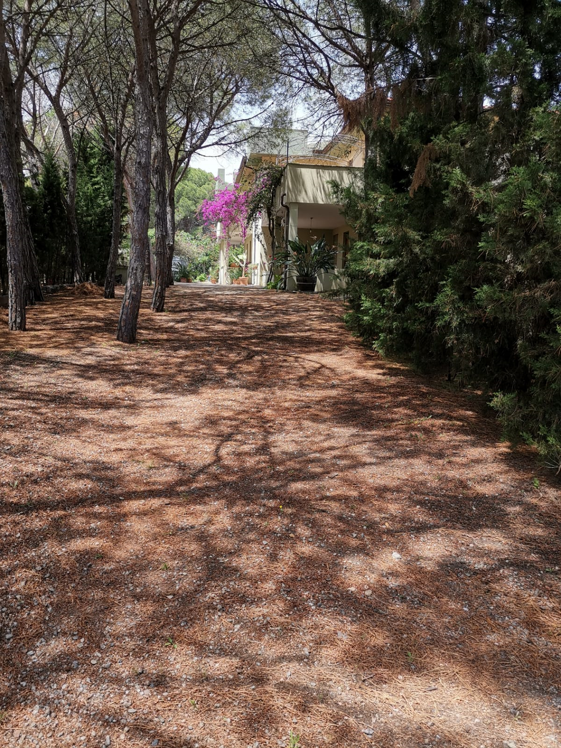 2019.06.08-SanGiovanni-Giardino_01