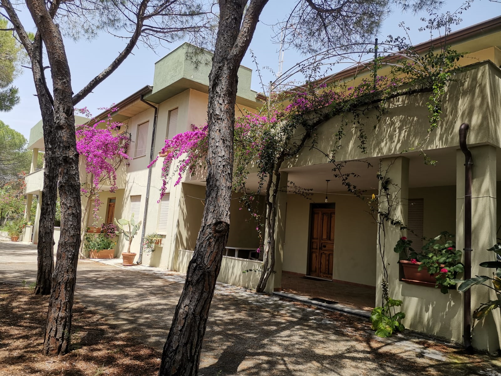 2019.06.08-SanGiovanni-Giardino_02