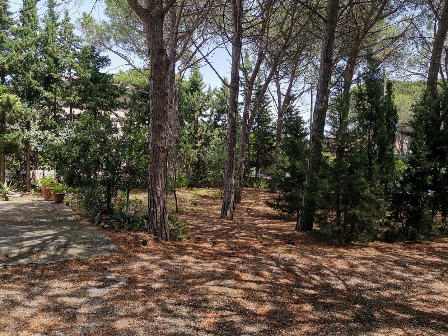 2019.06.08-SanGiovanni-Giardino_03