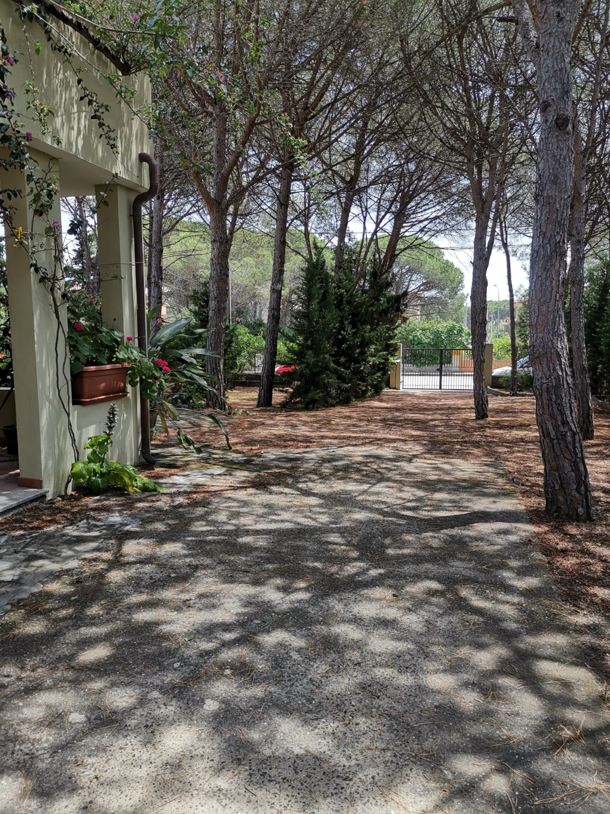 2019.06.08-SanGiovanni-Giardino_04