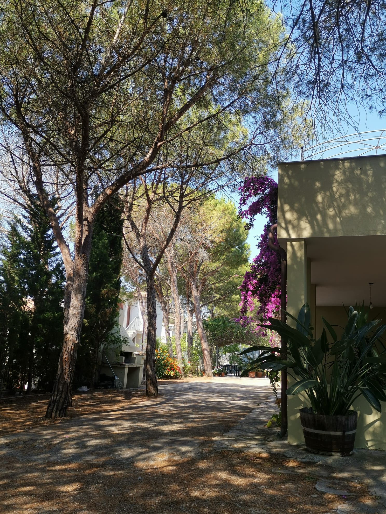 2020.08.06-SanGiovanni-Giardino_05