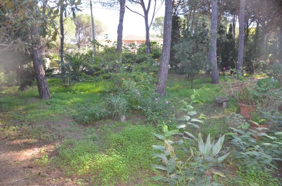 2021.06.17-SanGiovanni-Giardino-10