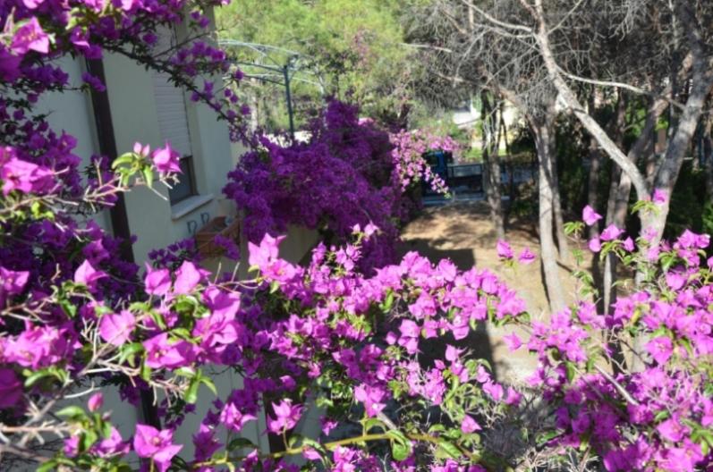 2021.06.17-SanGiovanni-Giardino-11.