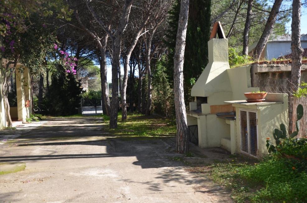 2021.06.17-SanGiovanni-Giardino-16
