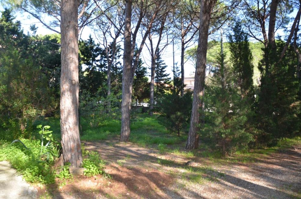2021.06.17-SanGiovanni-Giardino-20