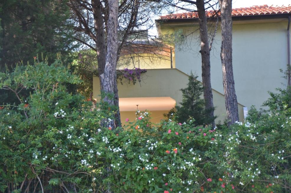 2021.06.17-SanGiovanni-Giardino-21