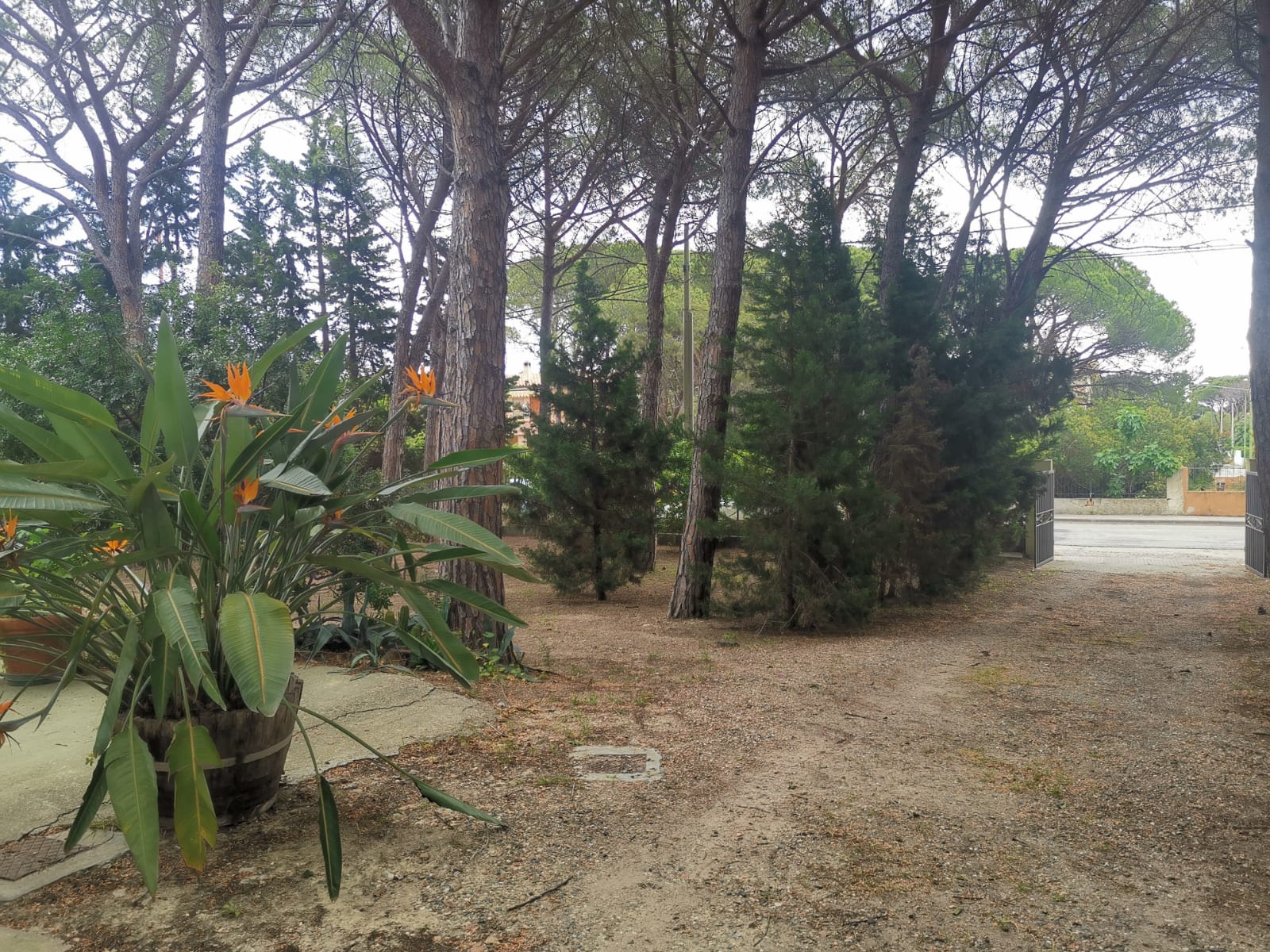 2025.05.03-SanGiovanni-Giardino-25