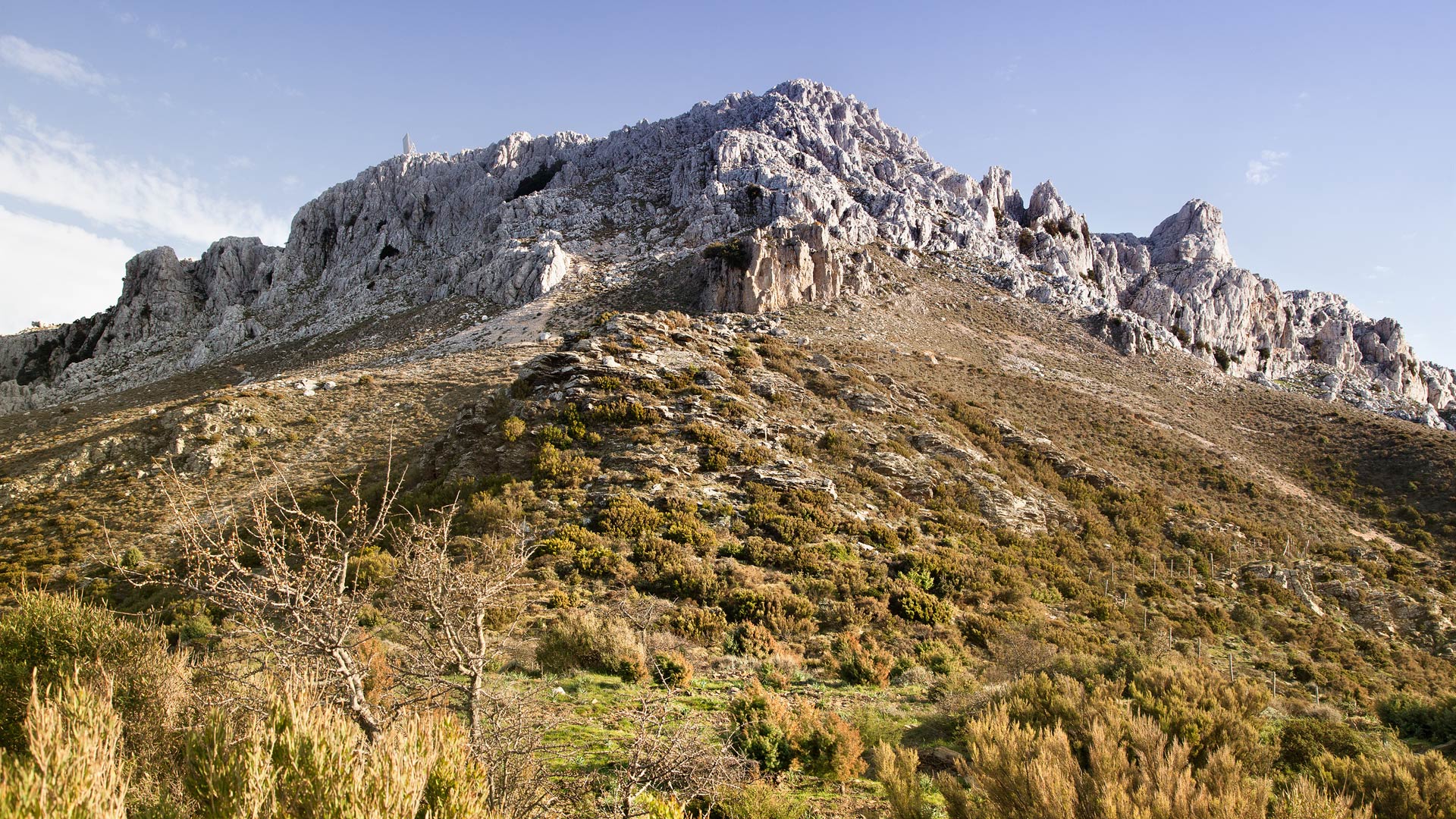 2025.05.03-monte_albo-02