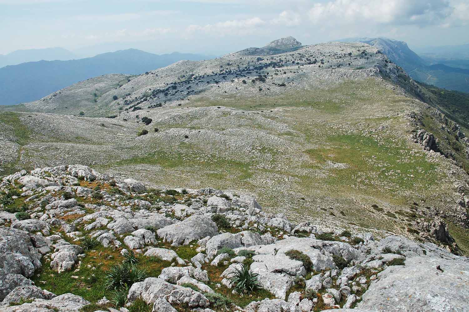2025.05.03-monte_albo-03