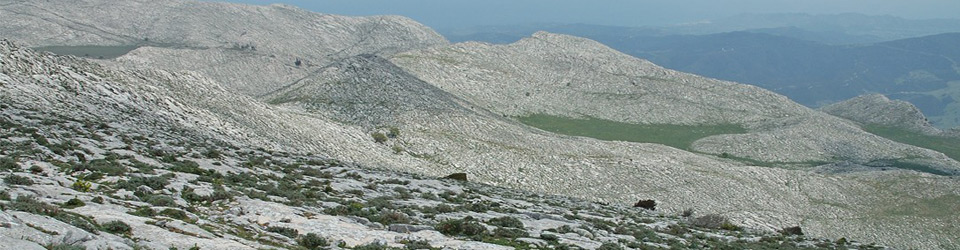2025.05.03-monte_albo-04