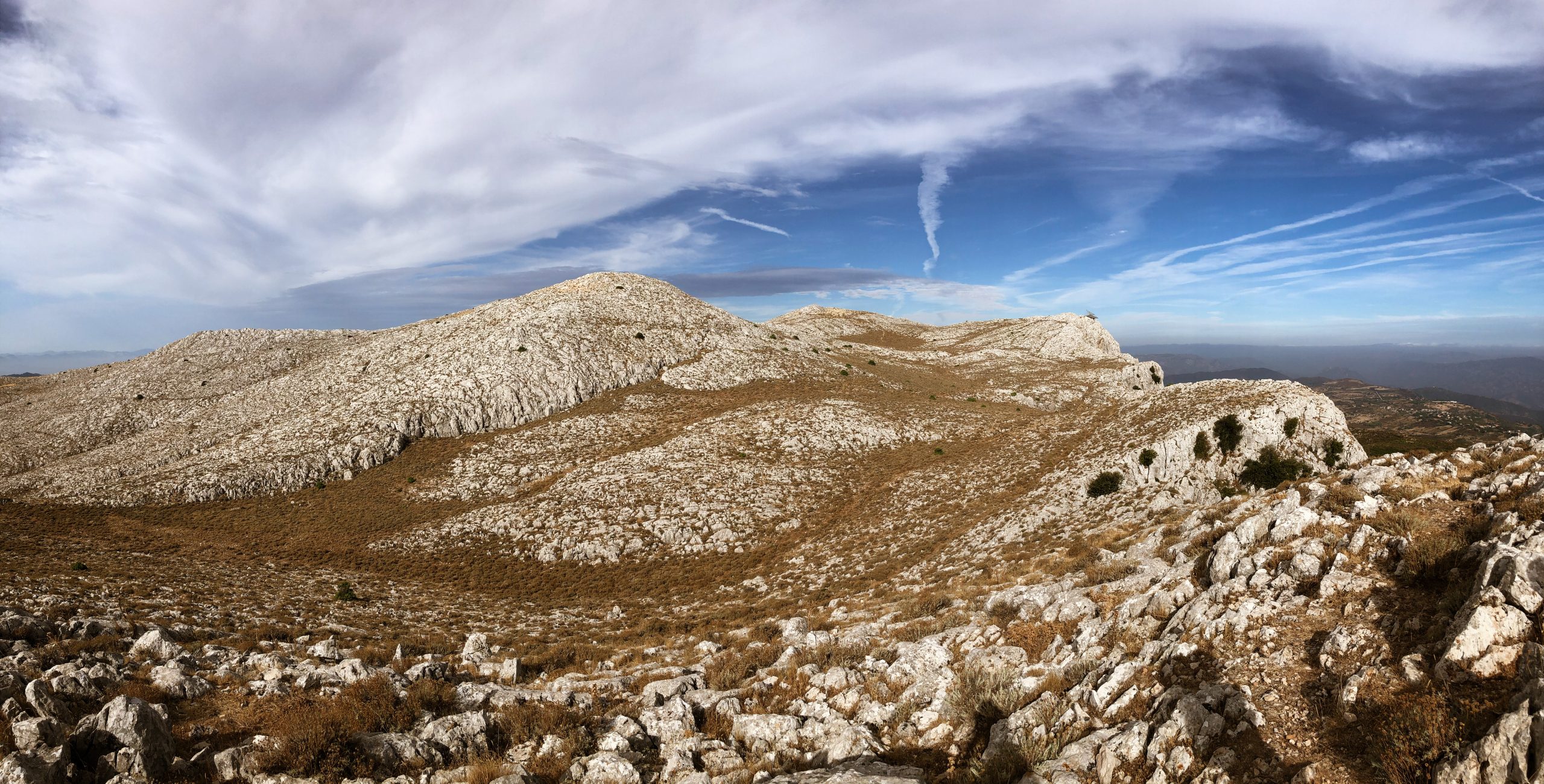 2025.05.03-monte_albo-06