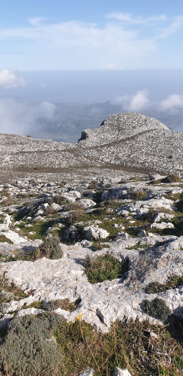 2025.05.03-monte_albo-07