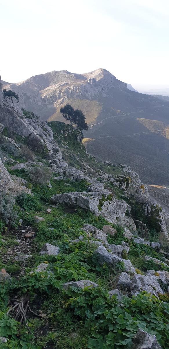 2025.05.03-monte_albo-08