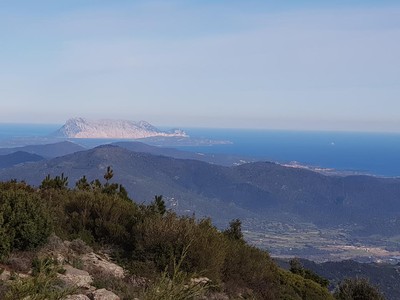 2025.05.03-monte_albo-10